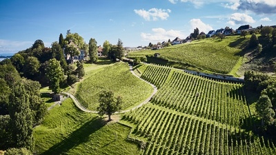 Garten und Wein – Biodiversität im Weingarten